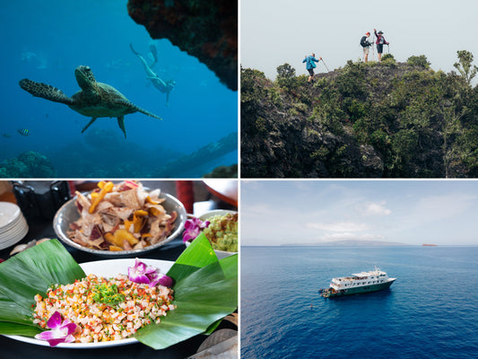 UnCruise Adventures’ Hawaiian Seascapes Named No. 1 “Best Hawaii Cruise” in the 2025 USA TODAY 10Best Readers’ Choice Awards
