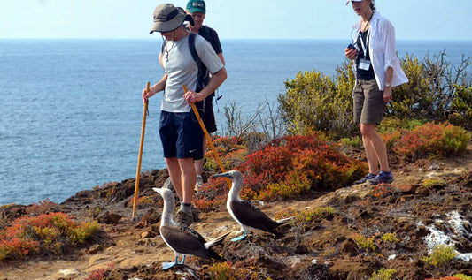 The Galápagos Big 15: Who’s Who in the Archipelago