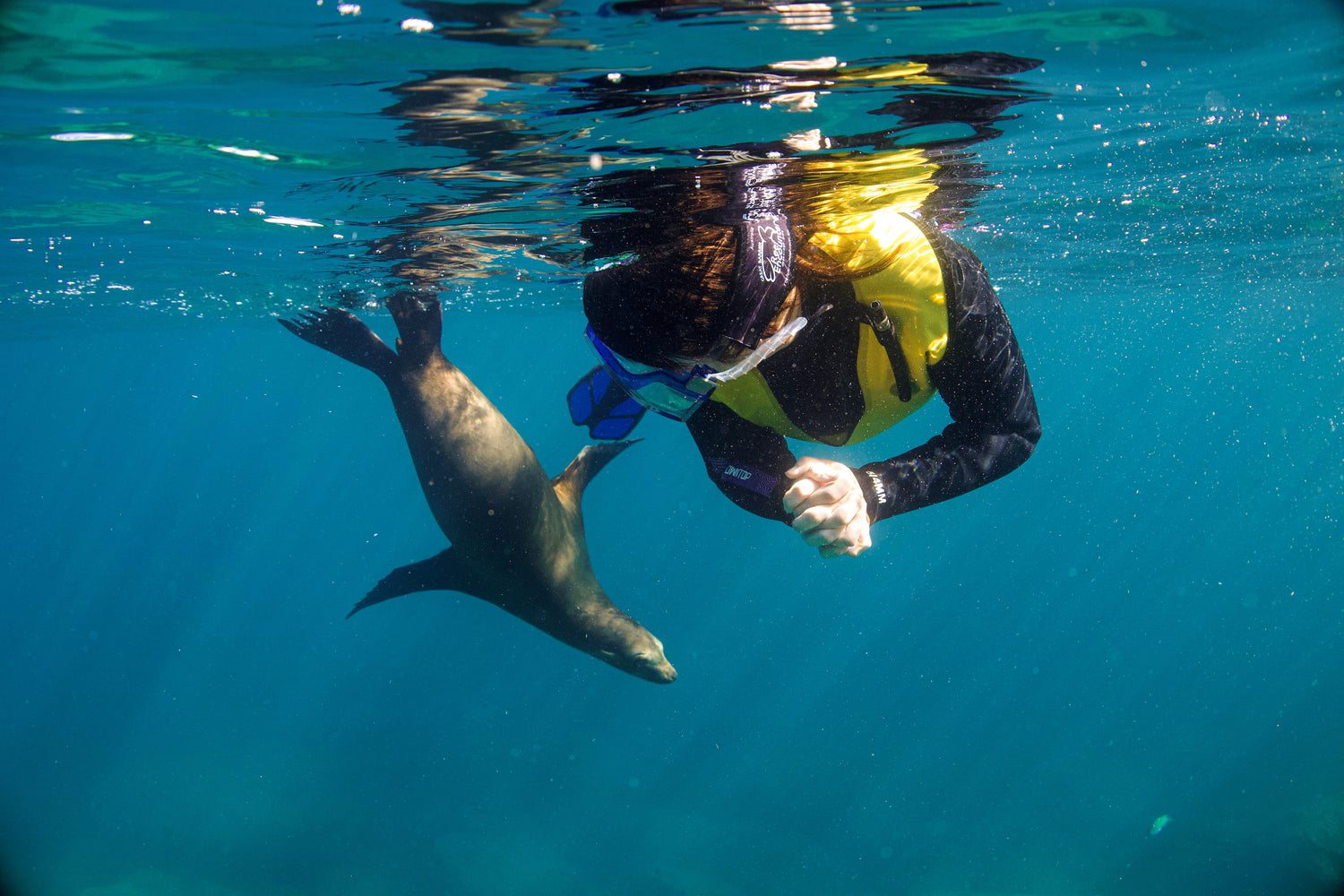 Mexico Adventure Cruises