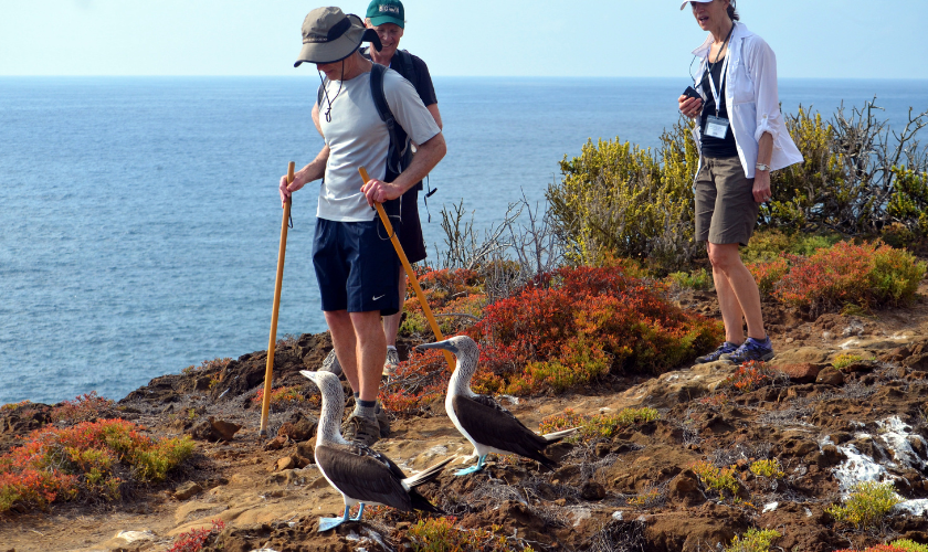 Galapagos Islands Adventure Cruises