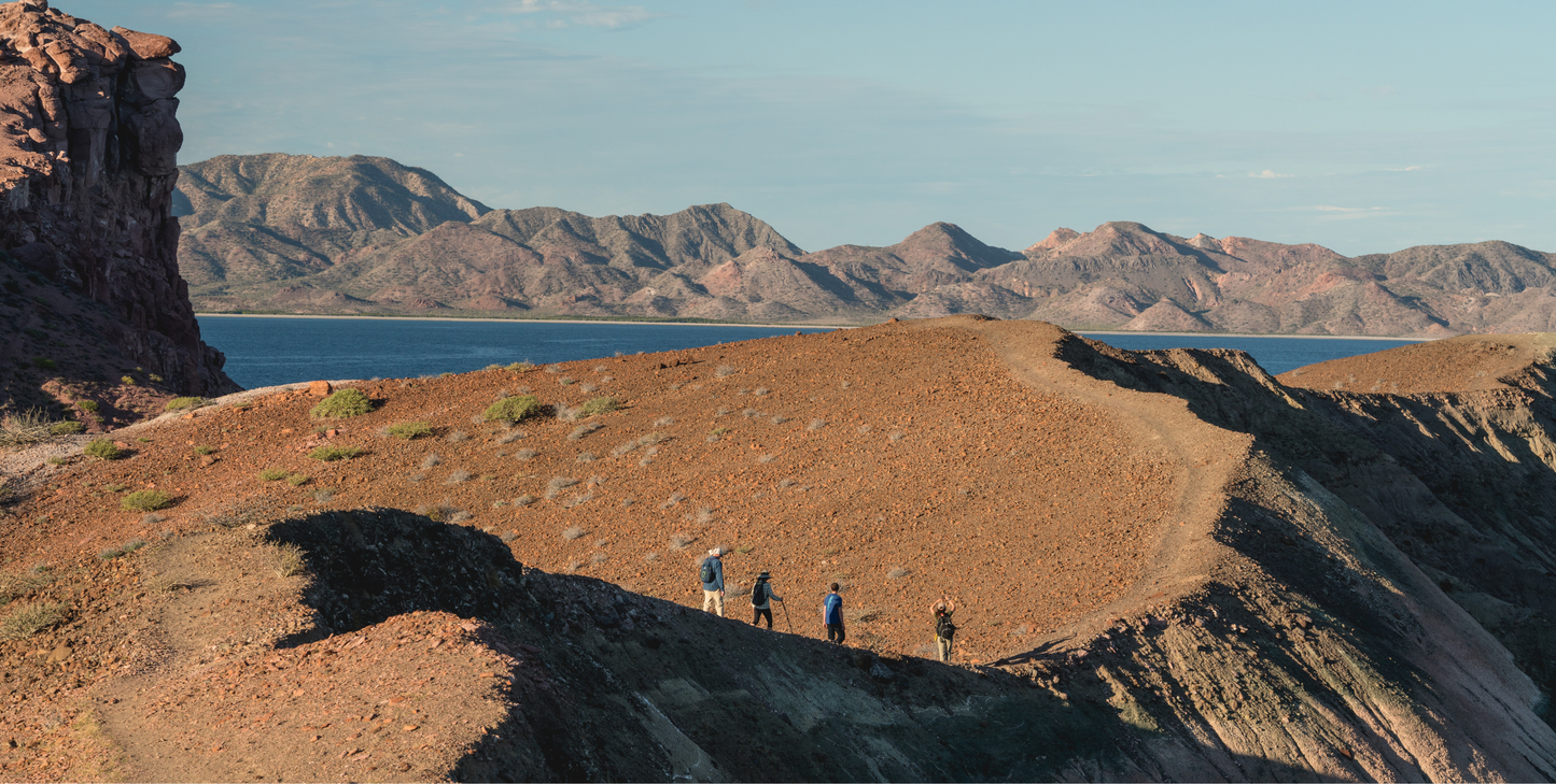 In Steinbeck's Wake: An Epic Voyage Through the Sea of Cortez - UnCruise Adventures