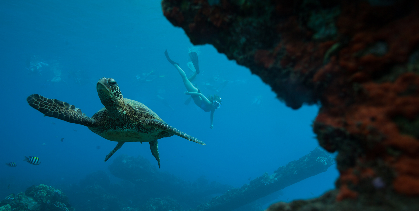 Hawaiian Seascapes - UnCruise Adventures