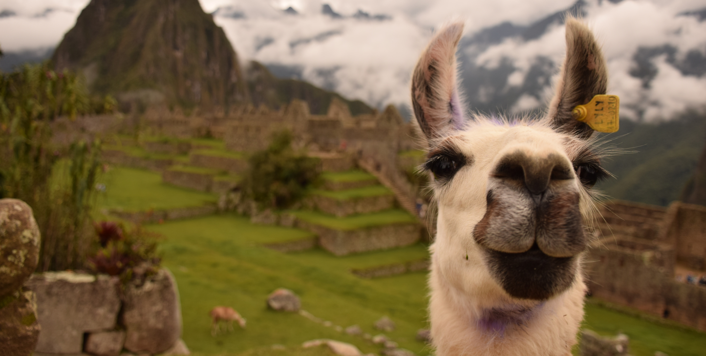 Machu Picchu Expedition - UnCruise Adventures