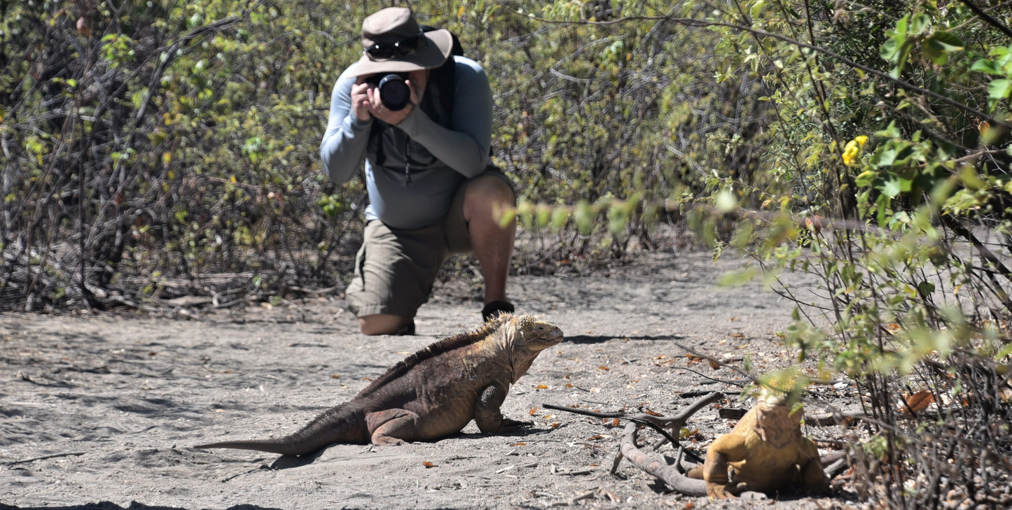 Photography Cruise: Darwin's Discoveries: The Galapagos Islands - UnCruise Adventures