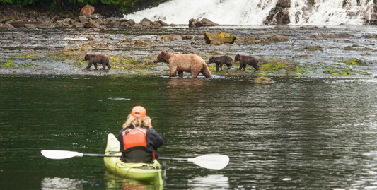 Northern Passages with Glacier Bay & Sitka - UnCruise Adventures -UnCruise Adventures