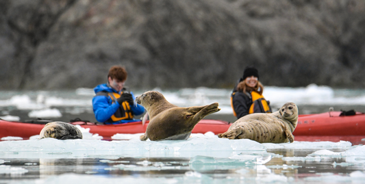 Alaska's Fjords & Glaciers with Ketchikan - UnCruise Adventures -UnCruise Adventures