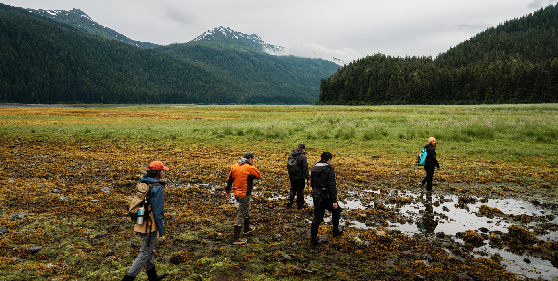 Wild, Woolly and Wow with Glacier Bay - UnCruise Adventures