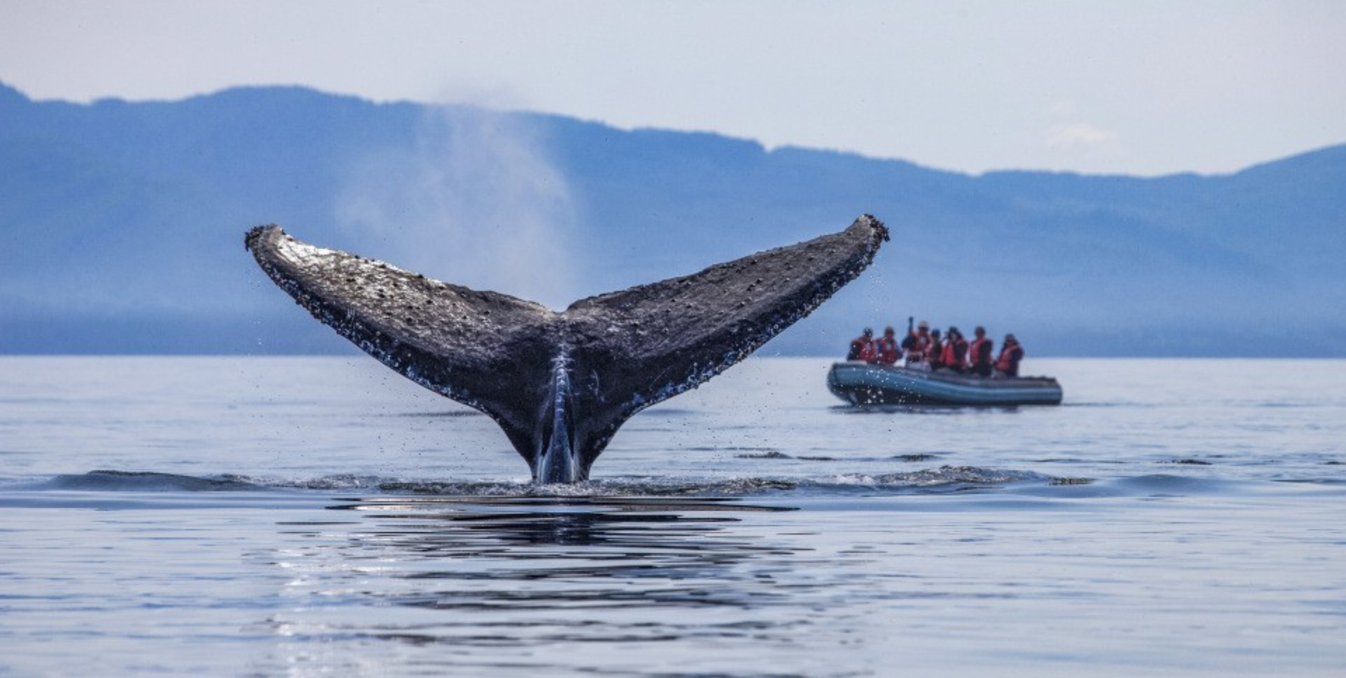 Alaska's Glacier Wilderness with Glacier Bay - UnCruise Adventures