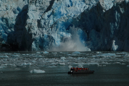 UnCruise Adventures Defies Financial Currents, Resurfaces with Profitability