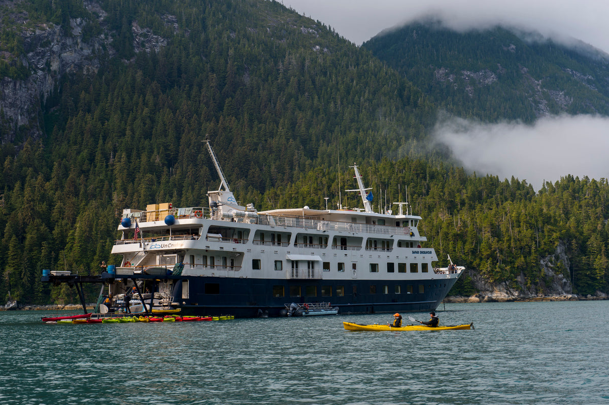 Why You Should Take A Winter Cruise In Alaska | UnCruise Adventures