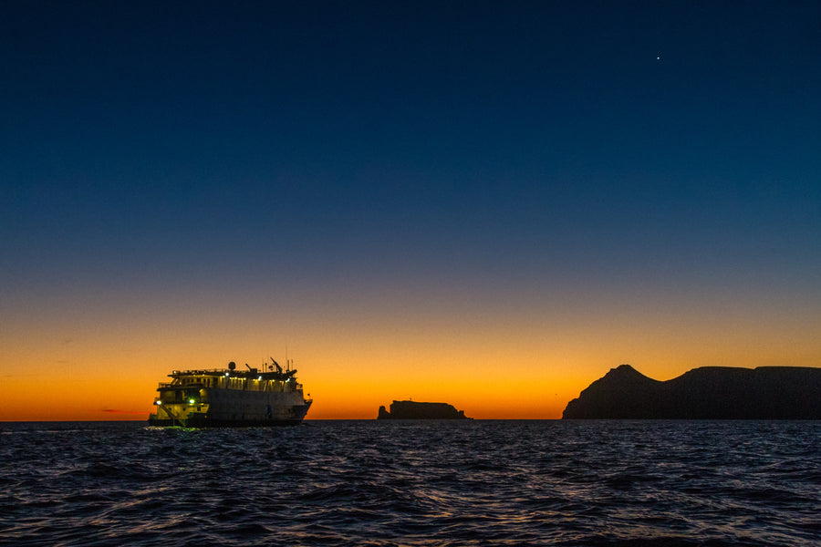 CEO-Led Expedition Marks a New Season & Savings: Sail UnCruise Adventures in Baja, California Mexico