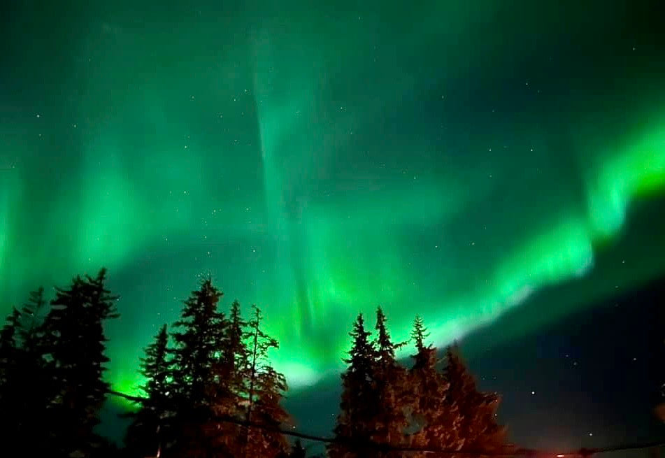 Guide to Alaska Northern Lights Cruises: See Nature's Magic