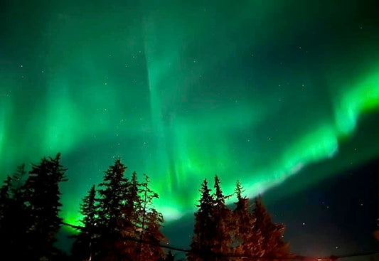 Guide to Alaska Northern Lights Cruises: See Nature's Magic