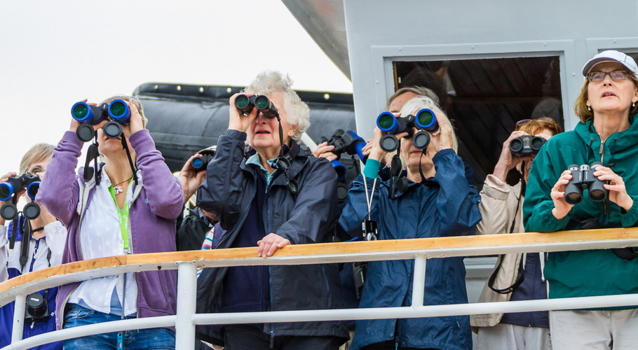Cruises for Seniors: A Guide to Choosing the Best Voyage