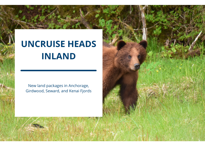 Mush into a Different Side of Alaska with UnCruise Adventures’ New Land Tours