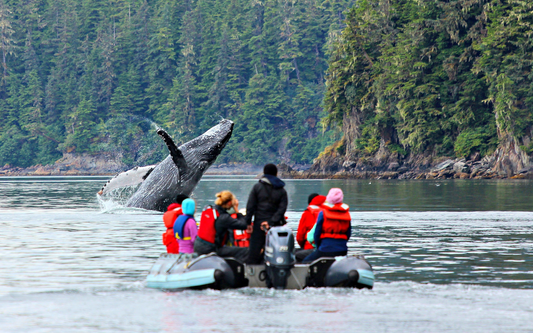 The Best Time to Visit Alaska for a Small Ship Cruise