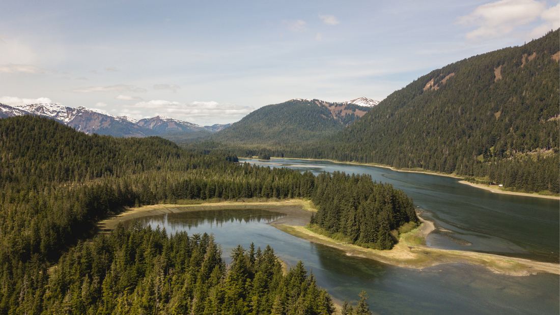 Protecting Southeast Alaska's Tongass National Forest