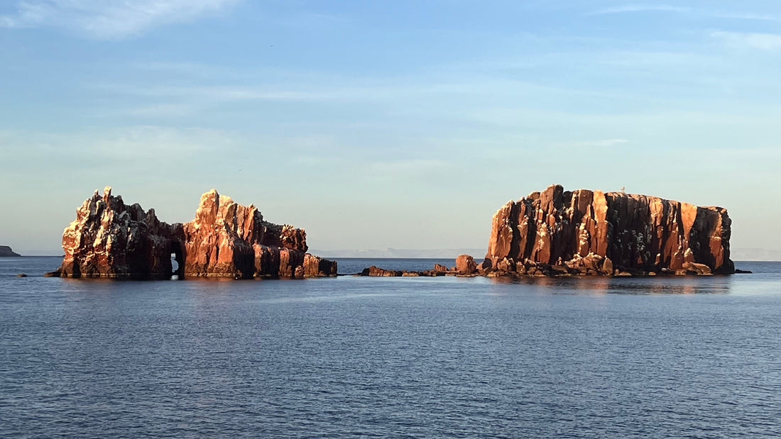 A Desert and an Ocean: Baja California by Small Ship