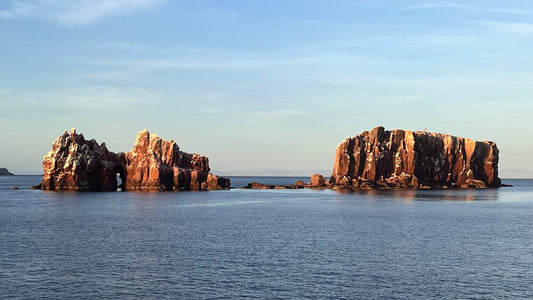 A Desert and an Ocean: Baja California by Small Ship