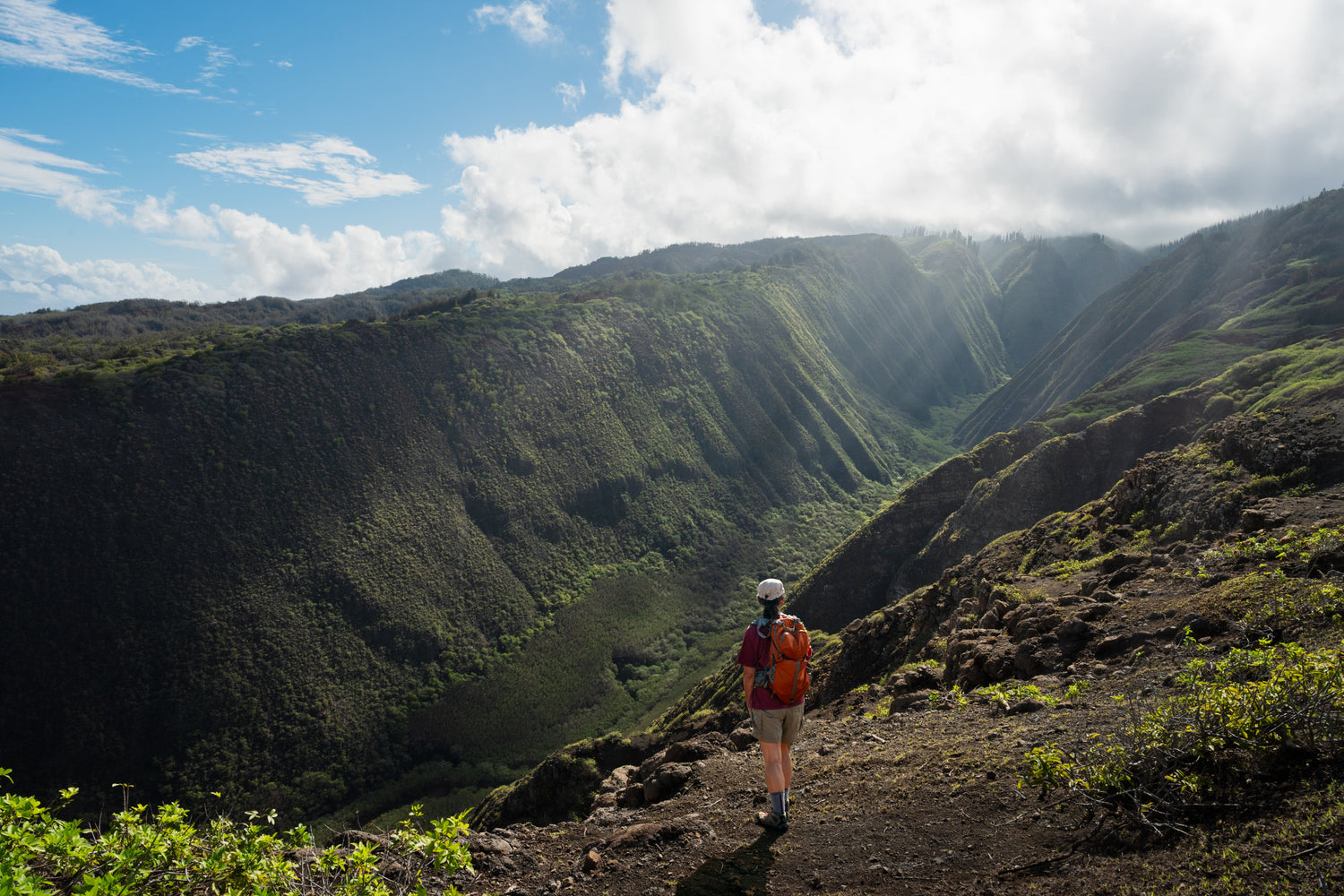 Hawaii Adventure Cruises