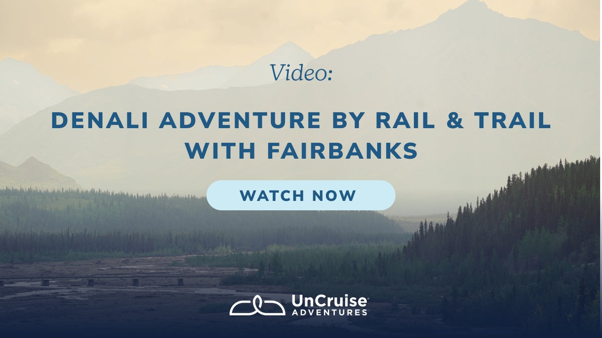 Load video: Denali Adventure by Rail &amp; Trail with Fairbanks