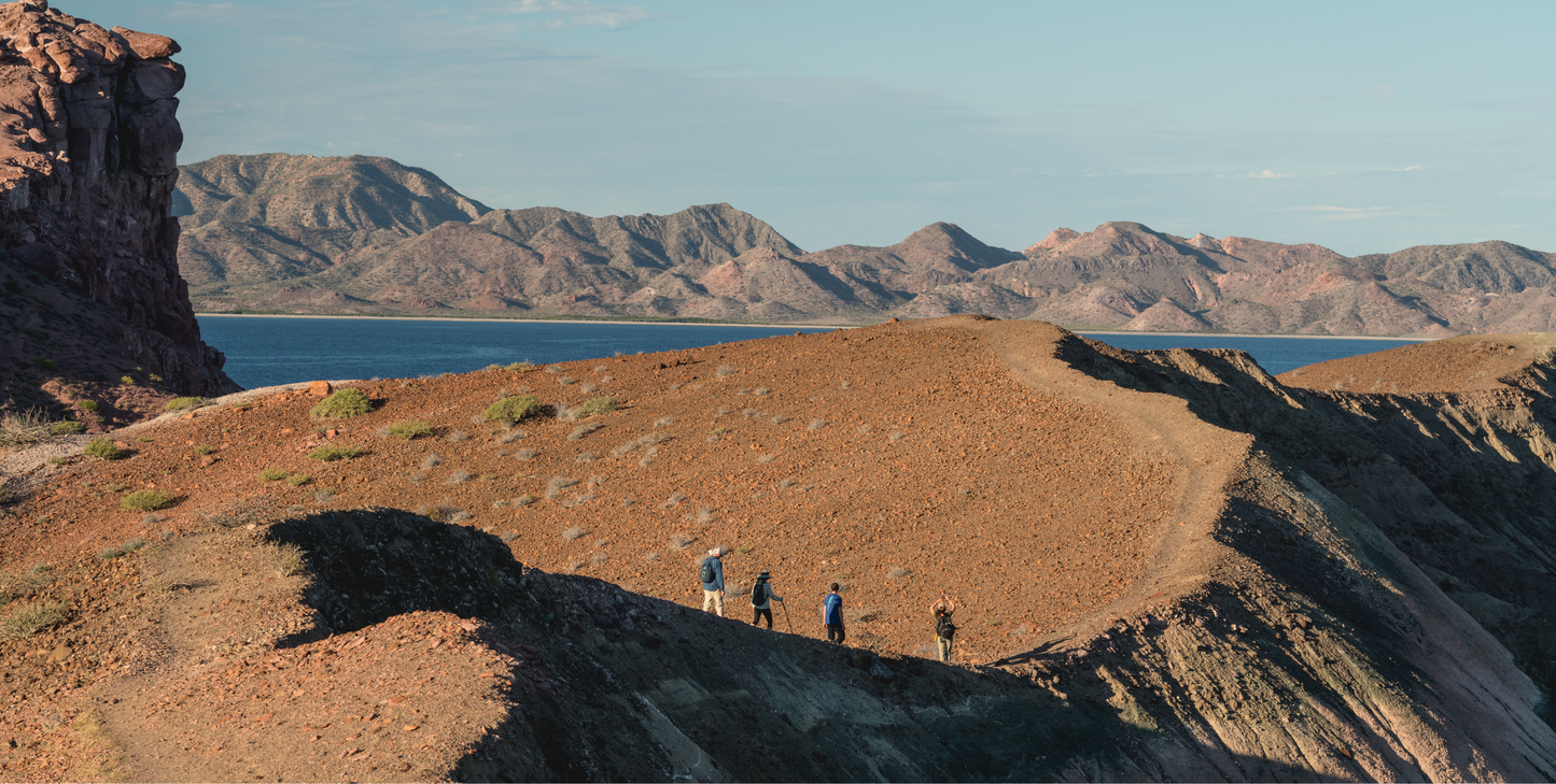 In Steinbeck's Wake: An Epic Voyage Through the Sea of Cortez - UnCruise Adventures 