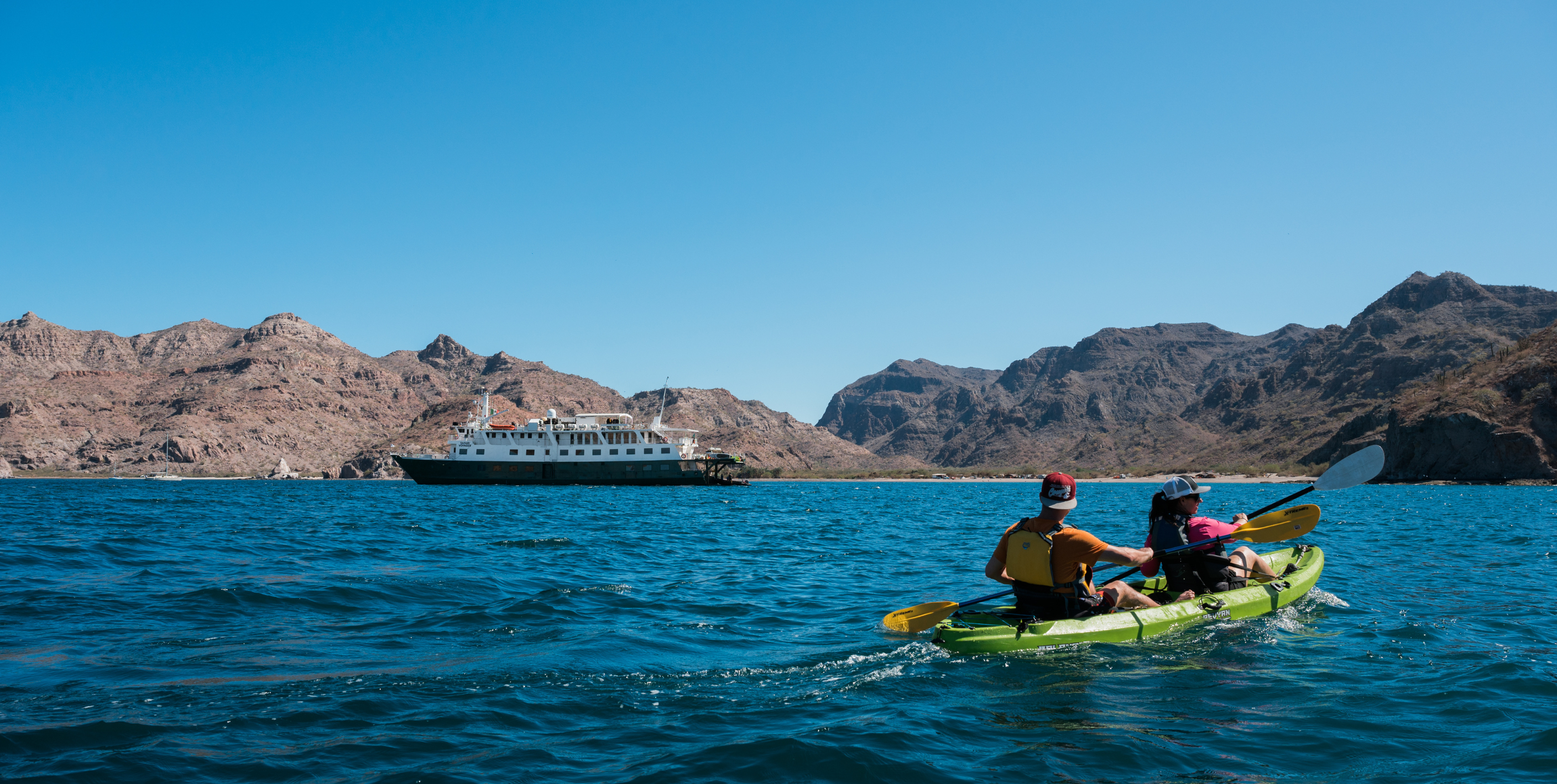 Baja California's Whales & Sealife