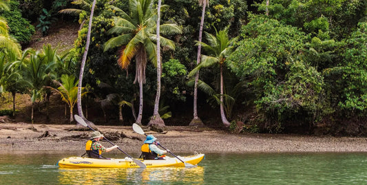 Two people paddle a bright yellow double kayak on calm green water, with a tropical shoreline of palm trees and dense jungle in the background.-UnCruise Adventures 
