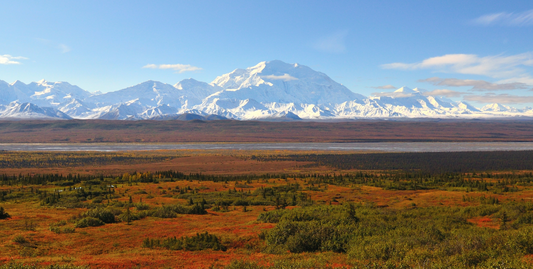 Denali & Talkeetna Wilderness Rail Adventure - UnCruise Adventures 