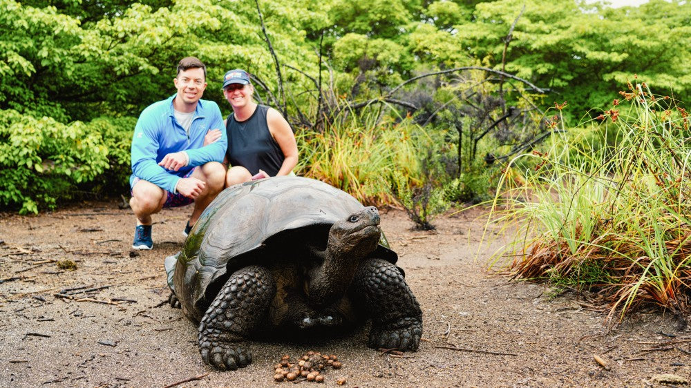Young couple sitting behind Giant Tortoise with bushes in the background