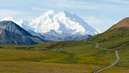 Scenic landscape of a road leading towards Denali-UnCruise Adventures 