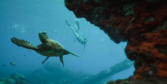 Hawaiian Seascapes-UnCruise Adventures 