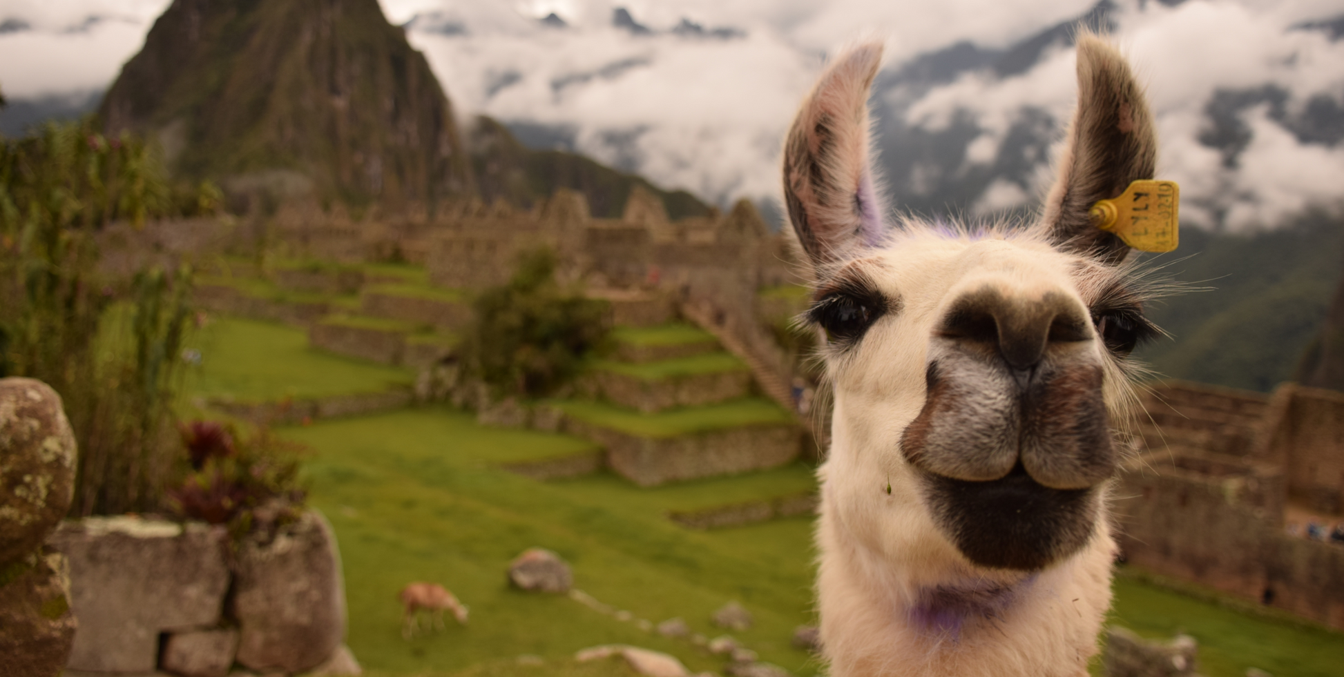 Machu Picchu Expedition - UnCruise Adventures 