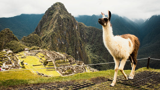 Machu Picchu Expedition-UnCruise Adventures 
