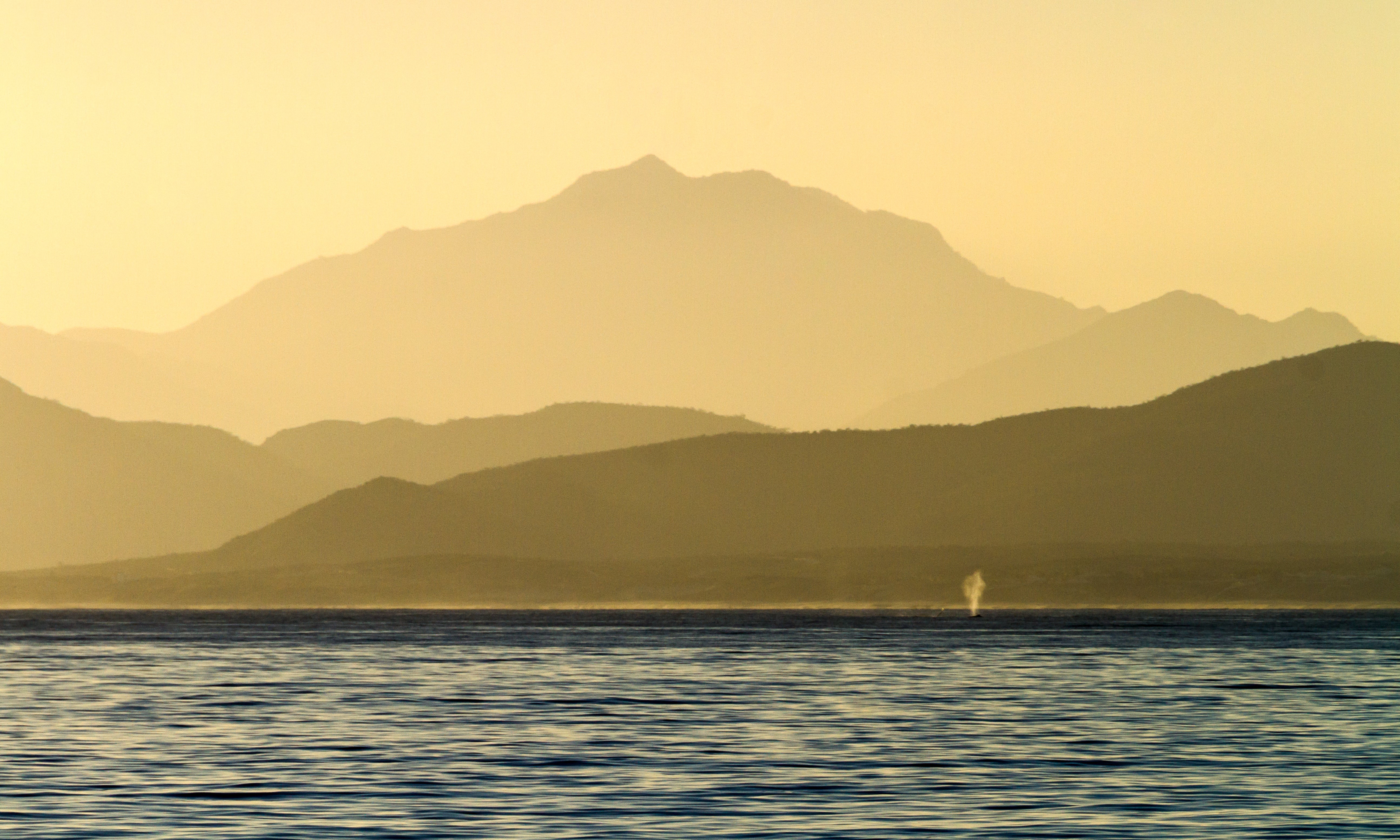 -UnCruise Adventures 