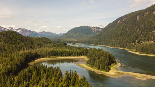 National Forest Foundation Hosted: Wild, Woolly and Wow with Glacier Bay-UnCruise Adventures 
