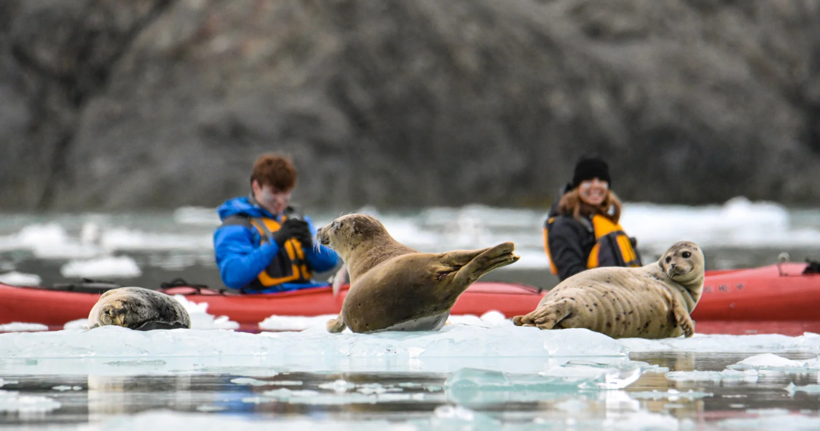 -UnCruise Adventures 