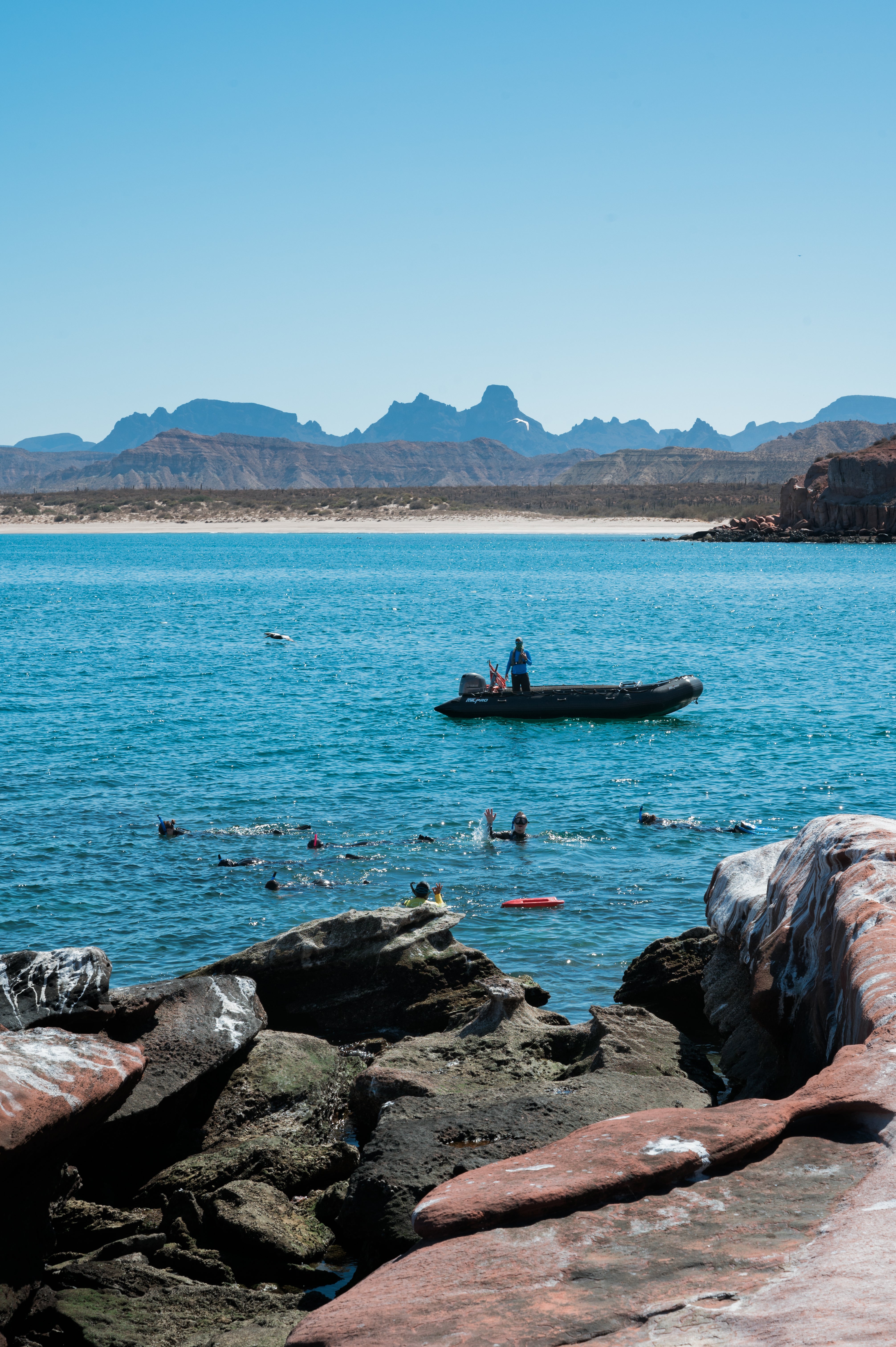 Mexico-UnCruise Adventures 