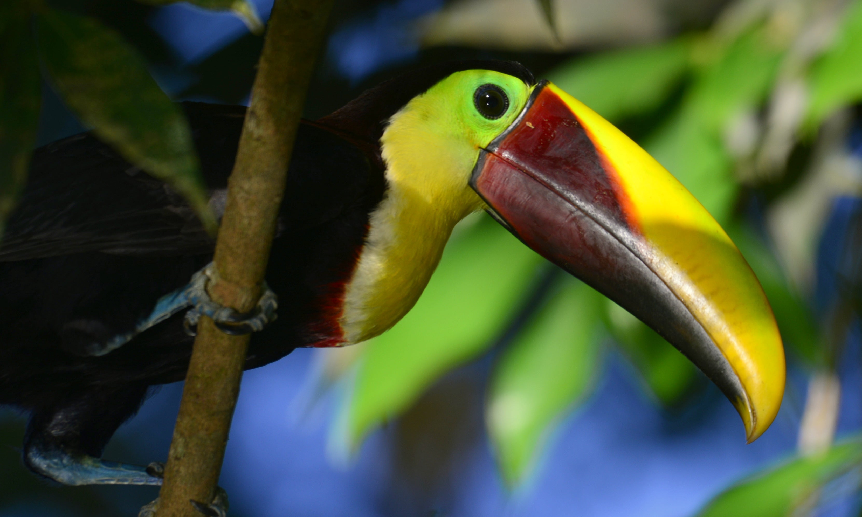 -UnCruise Adventures 