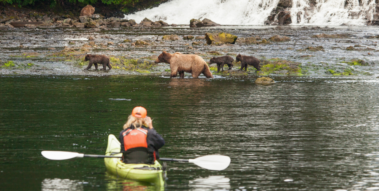 Northern Passages with Glacier Bay & Sitka