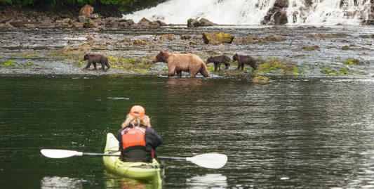 Northern Passages with Glacier Bay & Sitka-UnCruise Adventures 