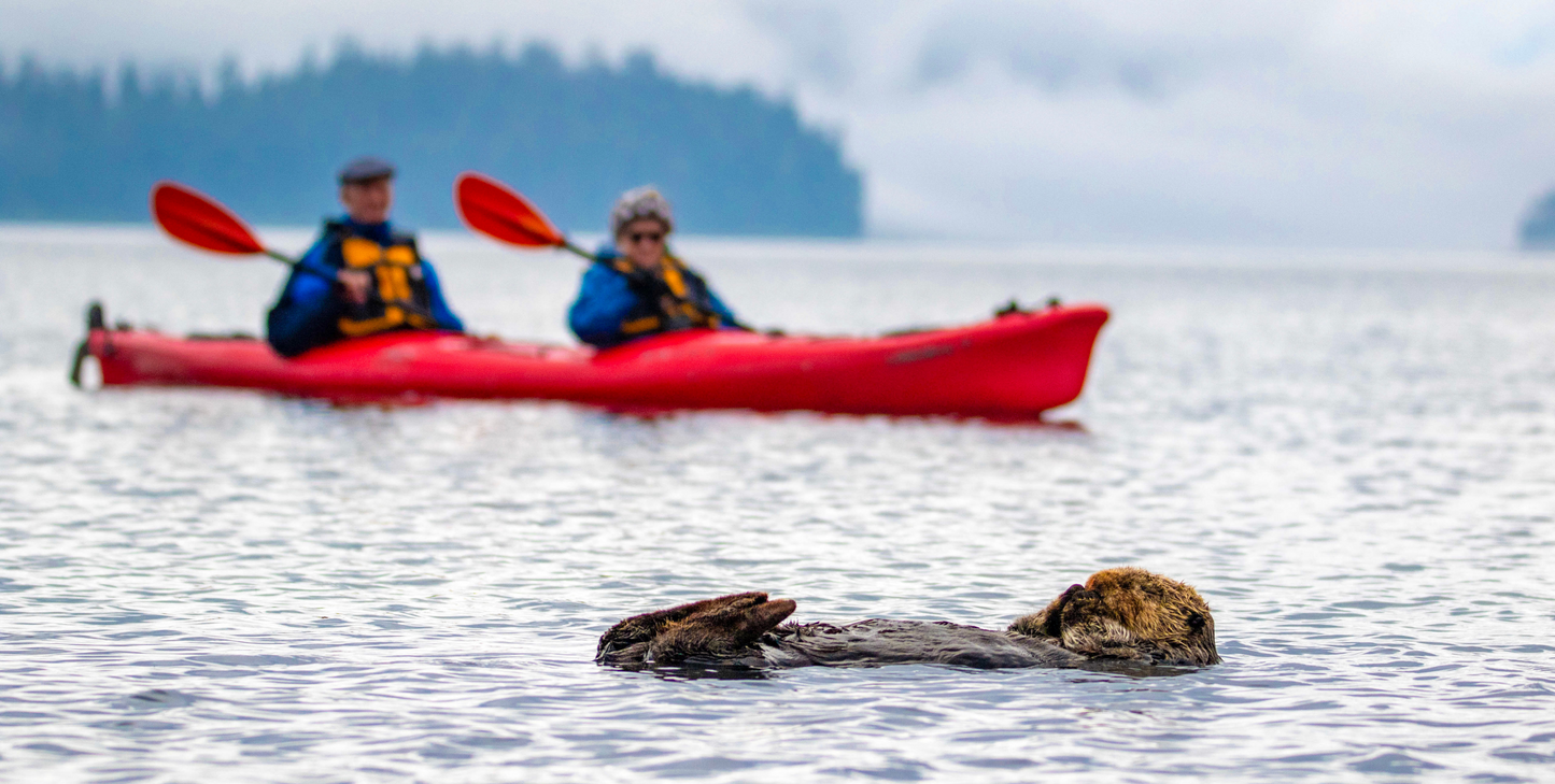 Wild, Woolly and Wow with Glacier Bay