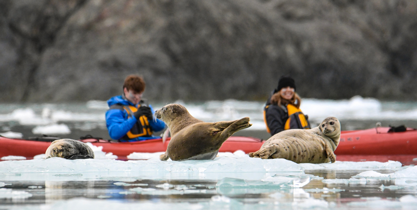 Alaska's Fjords & Glaciers with Ketchikan