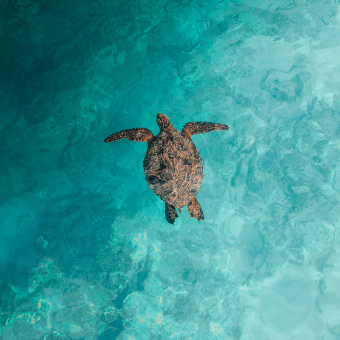 Panama-UnCruise Adventures 