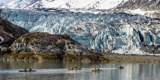 Glacier Bay Adventure Cruise with 2 Days in Glacier Bay-UnCruise Adventures 