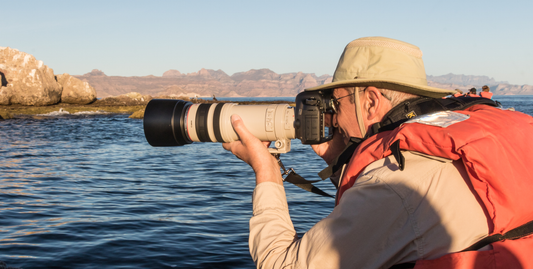 Photography Cruise: Baja California's Whales & Sealife-UnCruise Adventures 