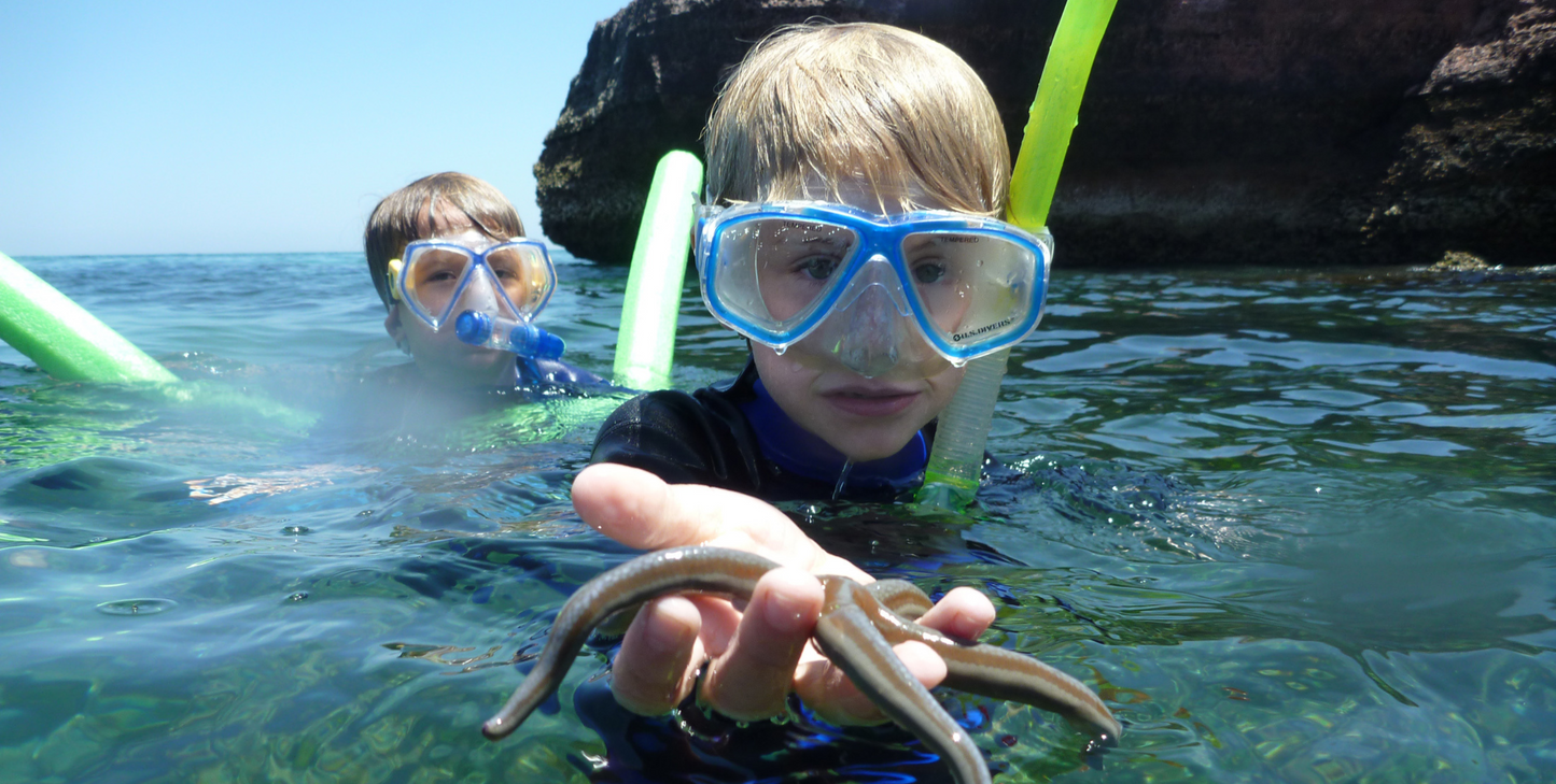 Kids in Nature: Baja California's Whales & Sealife