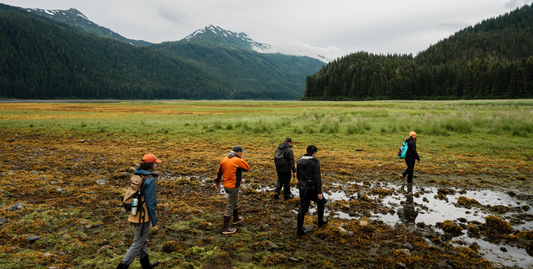Wild, Woolly and Wow with Glacier Bay-UnCruise Adventures 