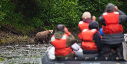 Alaska's Glacier Wilderness with Glacier Bay-UnCruise Adventures 
