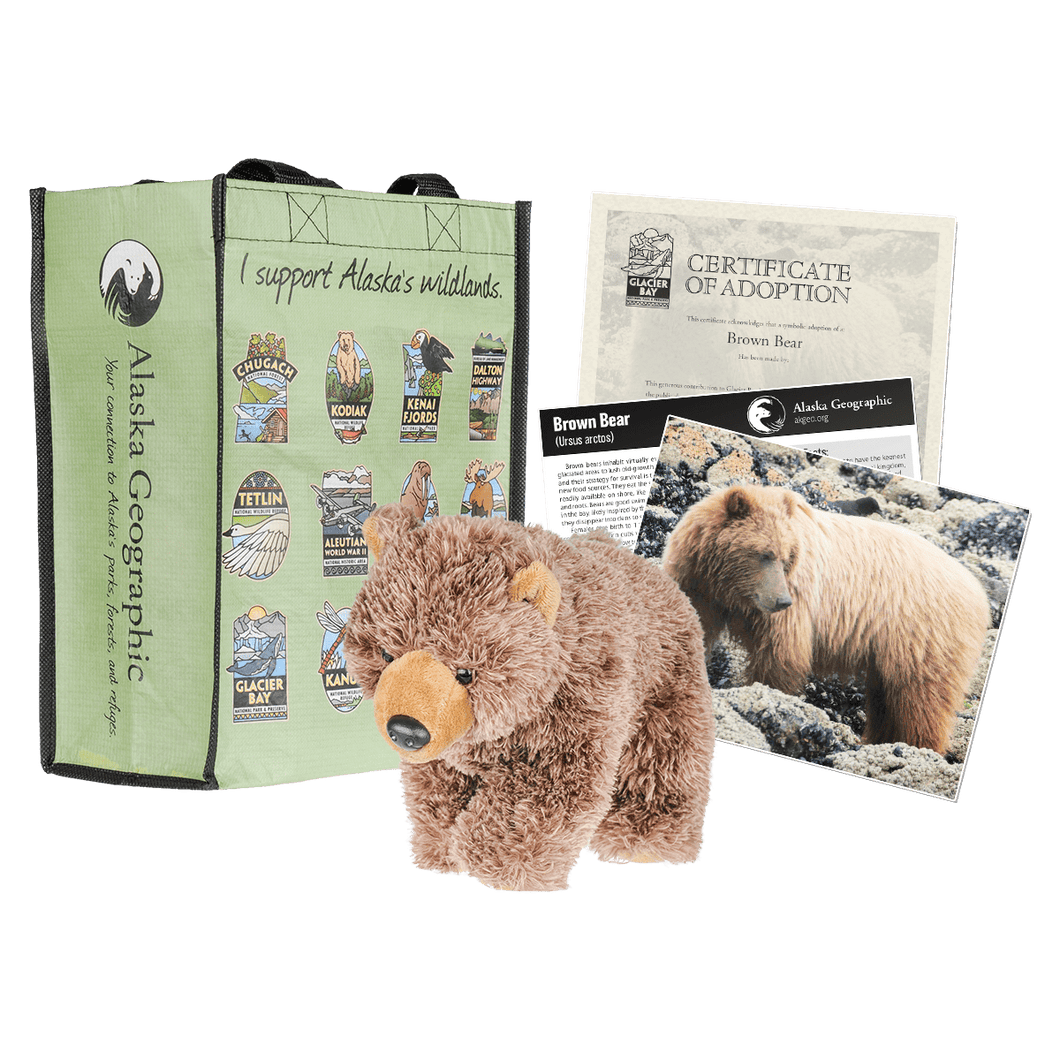 Photo of kit, including plush bear, adoption certificate, photo, and a recycled bag
